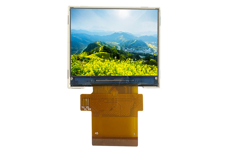 YT020BVA1001-01