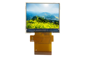 YT020BVA1001-01